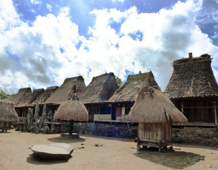Ngadhu and Bhaga
