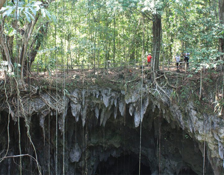 Japanese cave