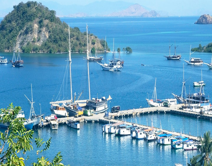 Komodo