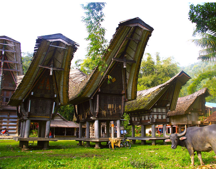 A Traditional Torajan Village