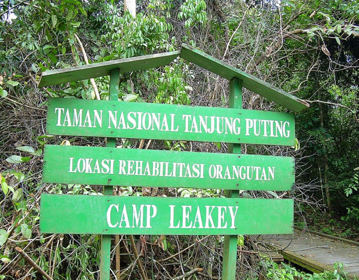 Camp Leaky