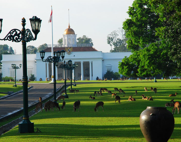 The Bogor botanical garden