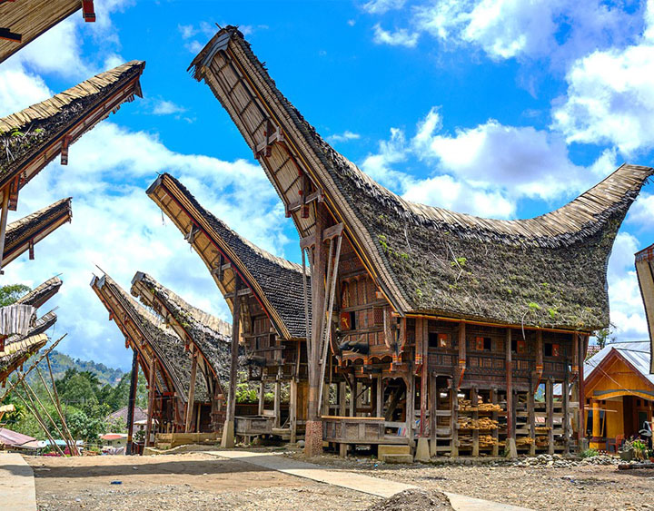 A Traditional Torajan Village