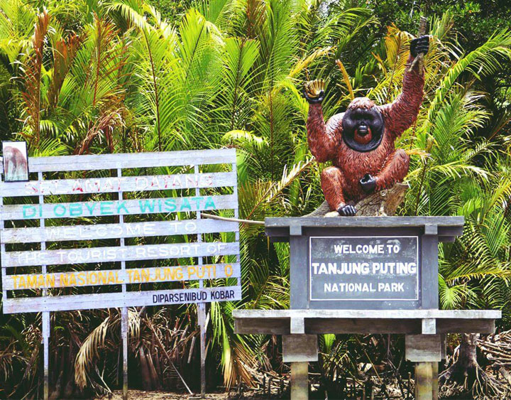 Tanjung Puting