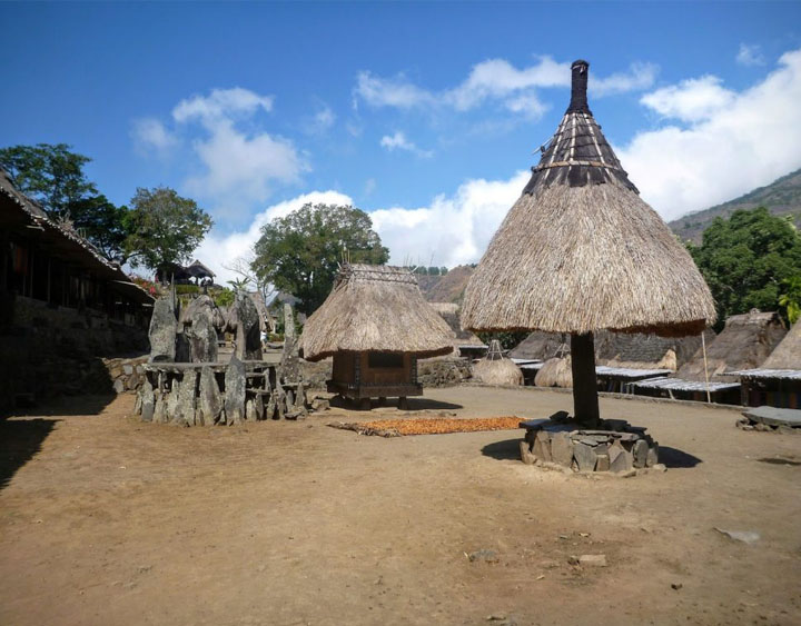 Ngadhu and Bhaga