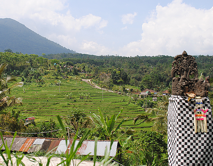 Trip to Jati Luwih